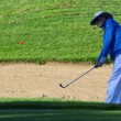 IMG_5786.JPG