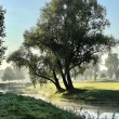 IMG_8438