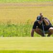 DSC_7745-Copy