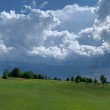 IMG_2347