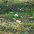RS_2025_LOWRES_02887