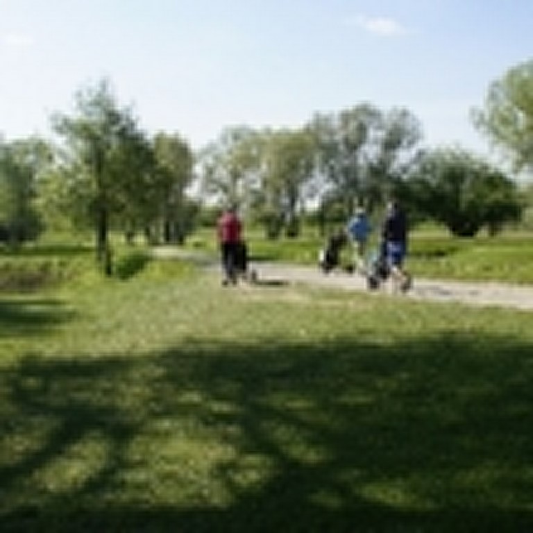 pingcup-090515-018