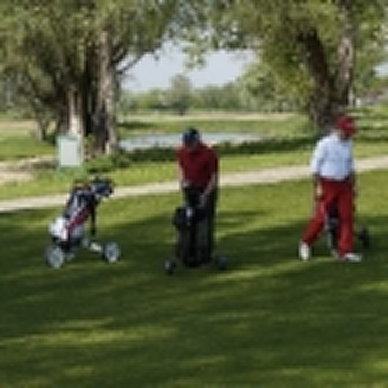 pingcup-090515-037