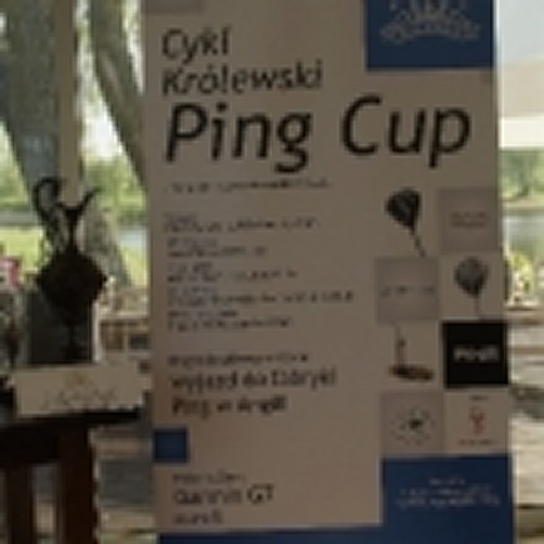 pingcup-090515-288
