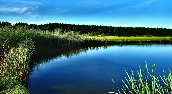 DSCF5085-01(1)_mniejszy