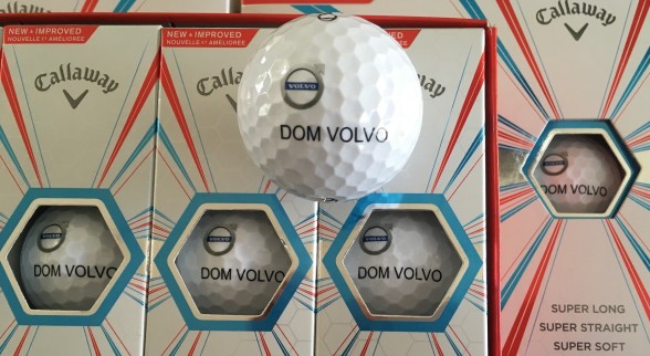 Piłeczki_logo Dom Volvo_02a_min